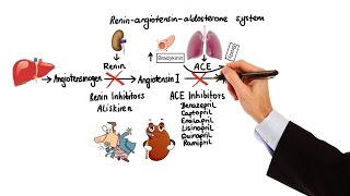 Pharmacology  HYPERTENSION amp ANTIHYPERTENSIVES MADE EASY [upl. by Eisso999]