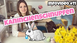 Kaninchenschnupfen  Infovideo [upl. by Greff]