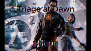 Triage at Dawn 1 Hour [upl. by Redvers]