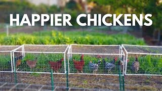 The Beginners Guide to Small Scale Backyard Pastured Poultry [upl. by Bartram]