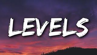 Avicii  Levels Lyrics [upl. by Kemme430]