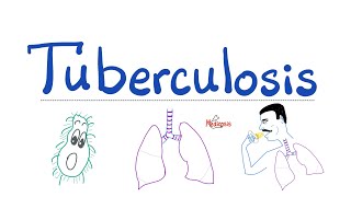 Tuberculosis TB  The Most Comprehensive Explanation  Respiratory Pathology  Pulmonology Series [upl. by Flemming73]