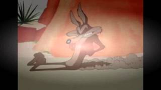 Wile E Coyote and The Road Runner episode 110 [upl. by Hatokad]