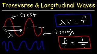 Transverse and Longitudinal Waves [upl. by Stanway]