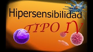 HIPERSENSIBILIDAD TIPO 4 [upl. by Nikal]