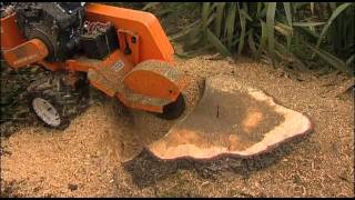 Stump Humper Stump Grinder [upl. by Nalor]