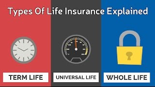 Types Of Life Insurance Explained [upl. by Strephon604]