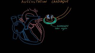 Auscultation cardiaque Partie 1 Introduction Docteur Synapse [upl. by Obe723]