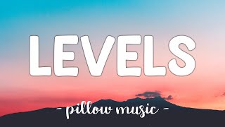 Levels  Avicii Lyrics 🎵 [upl. by Nylssej]