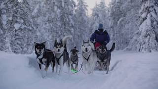 Best time of the year in Rovaniemi Lapland [upl. by Desberg773]