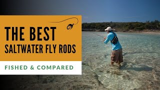 Best Saltwater Fly Rods Tested amp Compared [upl. by Pendleton]