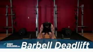 Barbell Deadlift  Leg amp Back Exercise  Bodybuildingcom [upl. by Nolan984]