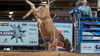 Future World Champion Bulls 🤔 Bucking Bulls Before They Get Ridden [upl. by Lux]