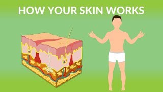 How to remove dead cells from normal skin naturally at home  Dr Amee Daxini [upl. by Hadria]