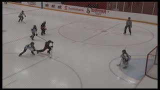 TOP 10 GOALS at 2018 Capital Ringette Classic finals CT rink [upl. by Berner]