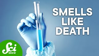 The 5 Most Dangerous Chemicals on Earth [upl. by Gnil216]