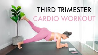 Third Trimester Prenatal Dumbbell Strength WorkoutBut Good For All Trimesters [upl. by Audry]