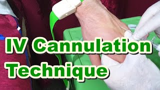 How to Insert IV Cannula  IV Cannulation Technique  Branula  Intravenous Catheter [upl. by Henderson]