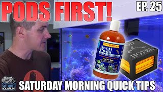 Adding COPEPODS FIRST to Your Saltwater Aquarium  Saturday Morning Quick Tip [upl. by Jamison]