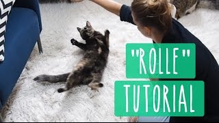 Einer Katze quotRollequot beibringen  Clickertraining Trick Tutorial [upl. by Atirma140]