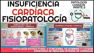 INSUFICIENCIA CARDÍACA FISIOPATOLOGÍA  GuiaMed [upl. by Eicyaj]