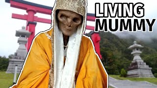 The Living Mummies of Japan  Sokushinbutsu Monks [upl. by Yentiw483]