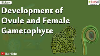 Biology Of Plants  Learn About Ovule and Gametophyte  iKen  iKen Edu  iKen App [upl. by Karoline]