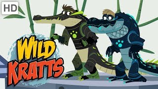 Wild Kratts 🐊 Alligators vs Crocodiles  Kids Videos [upl. by Missie]