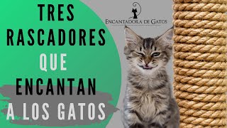 ¿QUÉ RASCADORES LE GUSTAN MÁS A LOS GATOS  Encantadora de Gatos [upl. by Haron]