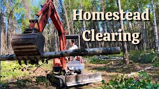 Clearing Our Alaska Homestead  Logging and Roadbuilding [upl. by Ablem766]