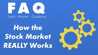 How Does the Stock Market Work [upl. by Olra]