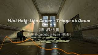 Mini HalfLife Cover  Triage at Dawn [upl. by Adela554]