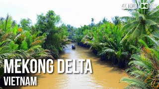 Mekong Delta Hàm Luông River Cruise  🇻🇳 Vietnam 4K HDR Boat Tour [upl. by Fitzger]