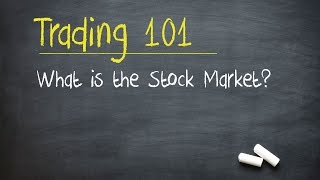 Trading 101 What is the Stock Market [upl. by Yneffit885]