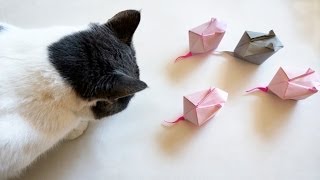 How to Make an Origami Mouse for Your Cat  Ratón de papel para tu gato [upl. by Artima]