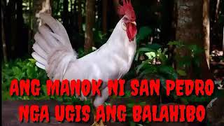 Ang Manok ni San Pedro by Max Surban [upl. by Narine]