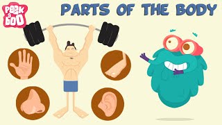 Parts Of The Body  The Dr Binocs Show  Learn Videos For Kids [upl. by Annahsar]