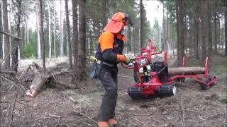 Järnhästen Skogens mångsysslare Jagamedhasse [upl. by Robyn]