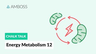 Energy Metabolism  Part 12 Ketone Body Metabolism [upl. by Siari]