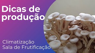 Climatização Sala de Frutificação [upl. by Vani73]