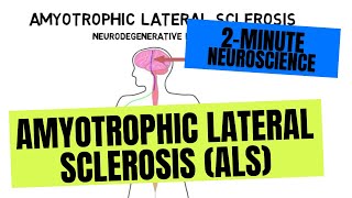 2Minute Neuroscience Amyotrophic Lateral Sclerosis ALS [upl. by Gifford]