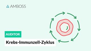 Der KrebsImmunzellZyklus  AMBOSS Auditor [upl. by Albin567]