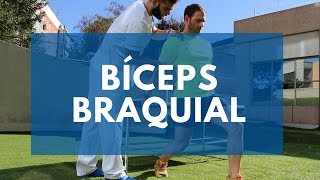 Estiramiento del Biceps Braquial [upl. by Ttelrats]