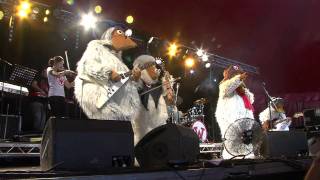 The Wombles  Remember Youre A Womble Live at Glastonbury 2011 [upl. by Ot]