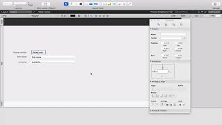 Filemaker Basics pt I [upl. by Chappie184]