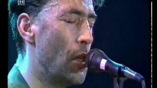 Wieder hoam  Hubert von Goisern live 1994 [upl. by Drehcir]