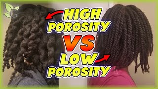 HIGH vs LOW POROSITY – What’s the difference  Pros and Cons [upl. by Marella]