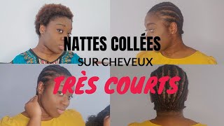 NATTES COLLÉES SUR CHEVEUX COURTS  HAIR GROWTH UPDATE APRÈS LE BIG CHOP 💇🏾‍♀️ [upl. by Elyl896]