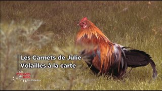 Les volailles à la carte  Les carnets de Julie [upl. by Ahsii]