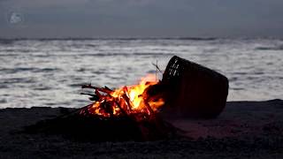 🔥 Campfire Bonfire on the Beach with the Sound of Relaxing Ocean Waves amp Crackling Burning Firewood [upl. by Clive]